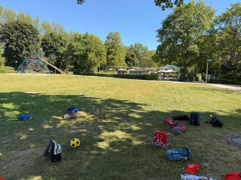 wiese heddesheim