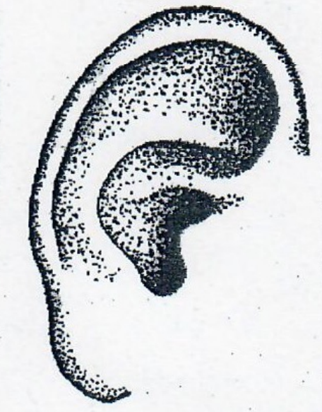 Symbolbild für aufmerksames Zuhören
