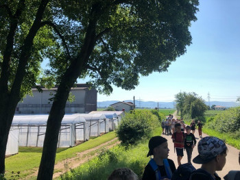wanderung wanderung