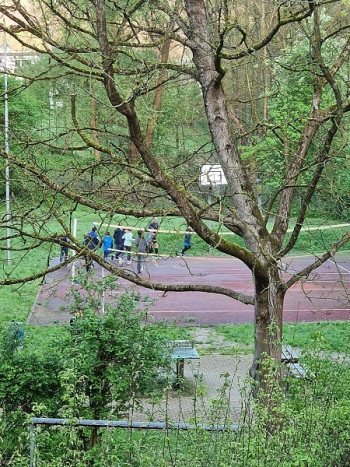 landheim fruehsport landheim fruehsport
