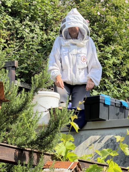 luisenpark bienen imkerin