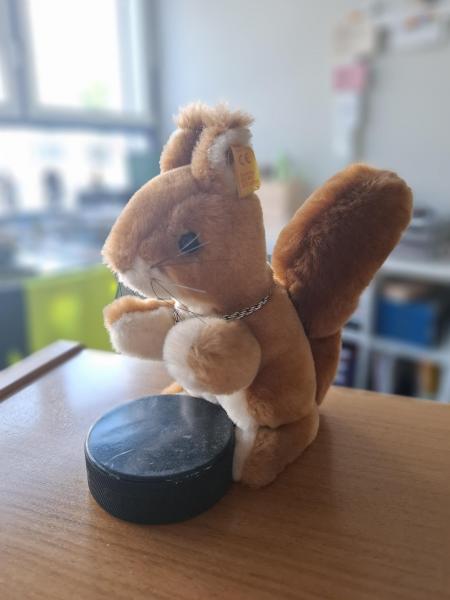 sap arena puck